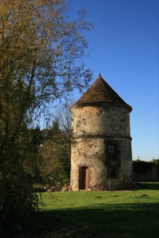 Élagueur Arces-Dilo