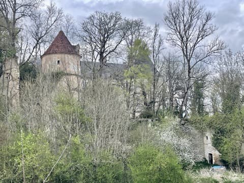 Élagueur Arcy-sur-Cure