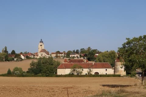 Élagueur Chevannes