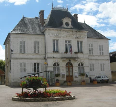 Élagueur Chichée