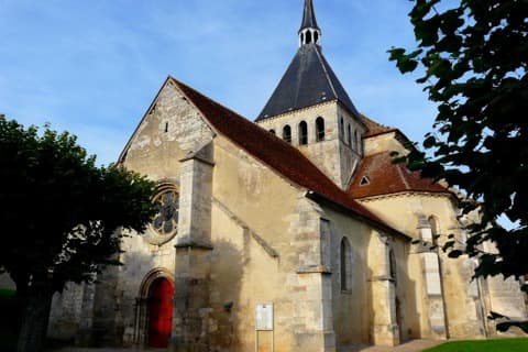 Élagueur Dannemoine