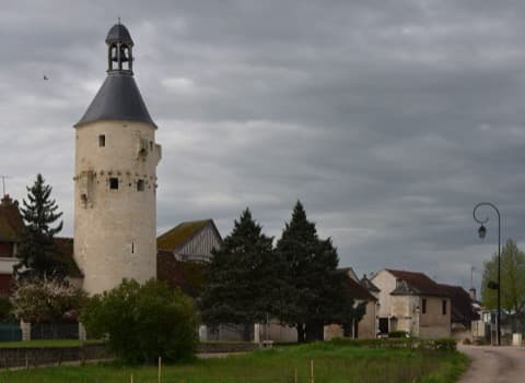 Élagueur Deux Rivières