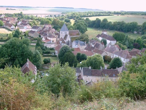 Élagueur Druyes-les-Belles-Fontaines