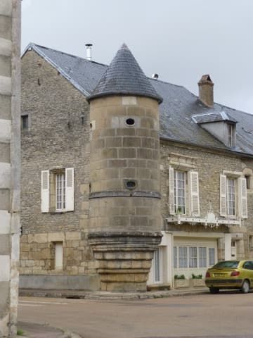 Élagueur L'Isle-sur-Serein