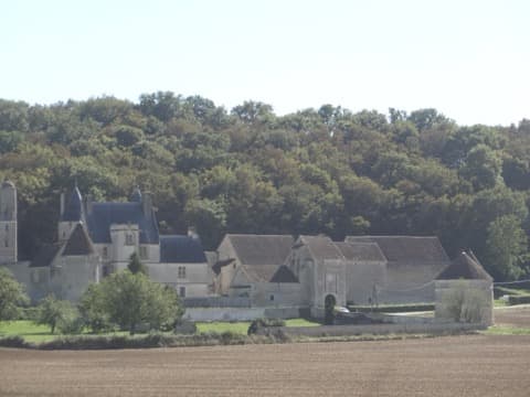 Élagueur Lichères-sur-Yonne