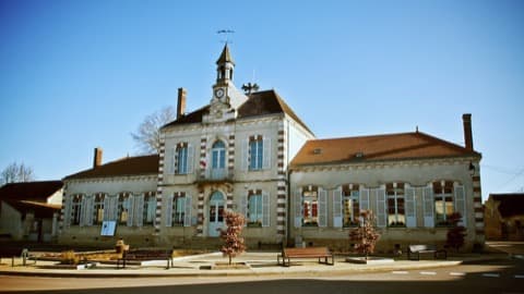 Élagueur Mont-Saint-Sulpice