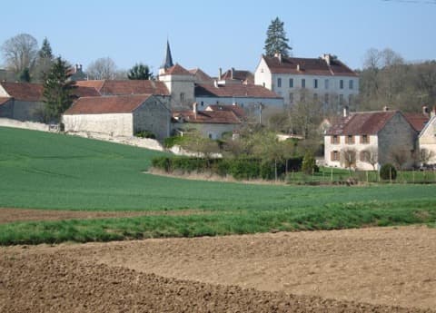 Élagueur Pimelles