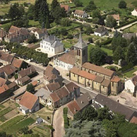 Élagueur Pontaubert