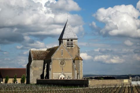 Élagueur Préhy