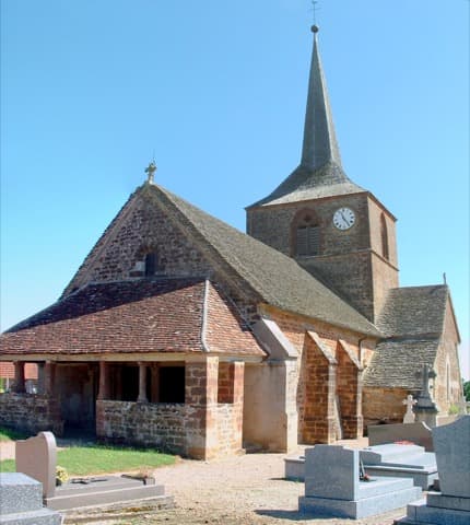 Élagueur Savigny-en-Terre-Plaine