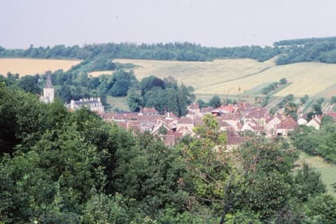 Élagueur Serrigny