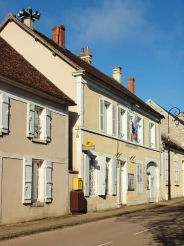 Élagueur Sougères-en-Puisaye