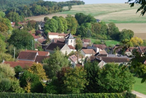 Élagueur Trichey