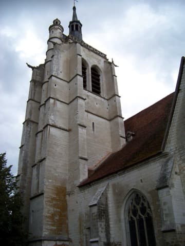 Élagueur Turny