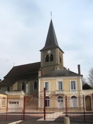 Élagueur Venizy