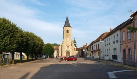 Élagueur Véron