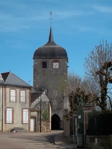Élagueur Villiers-Saint-Benoît