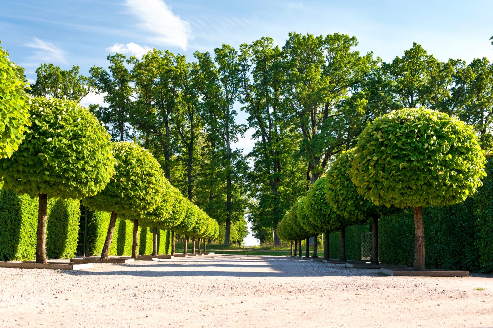 Entretien Parcs & Jardins 89 Yonne