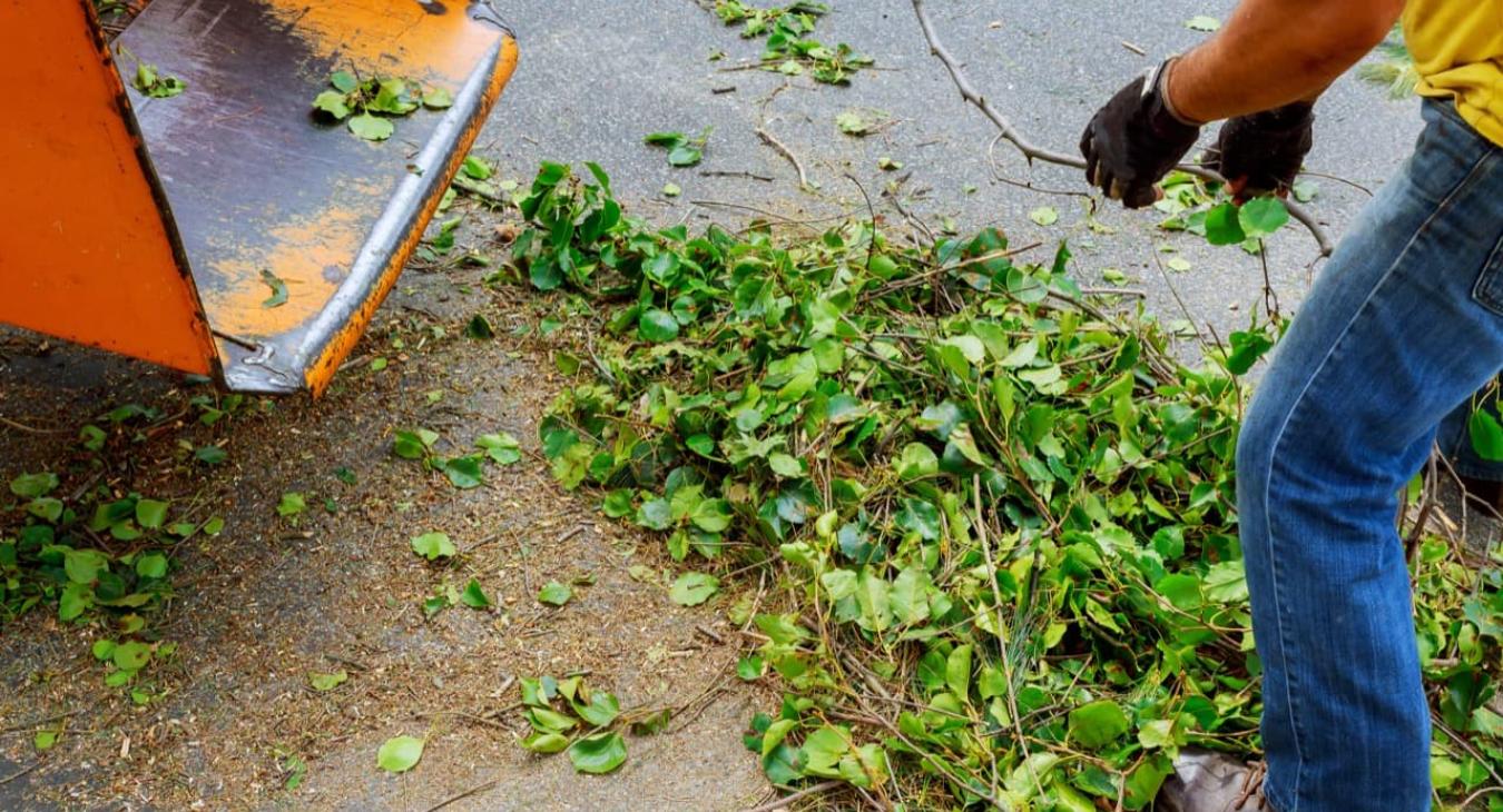 Broyage de branches & Gestion des déchets verts 89 Yonne
