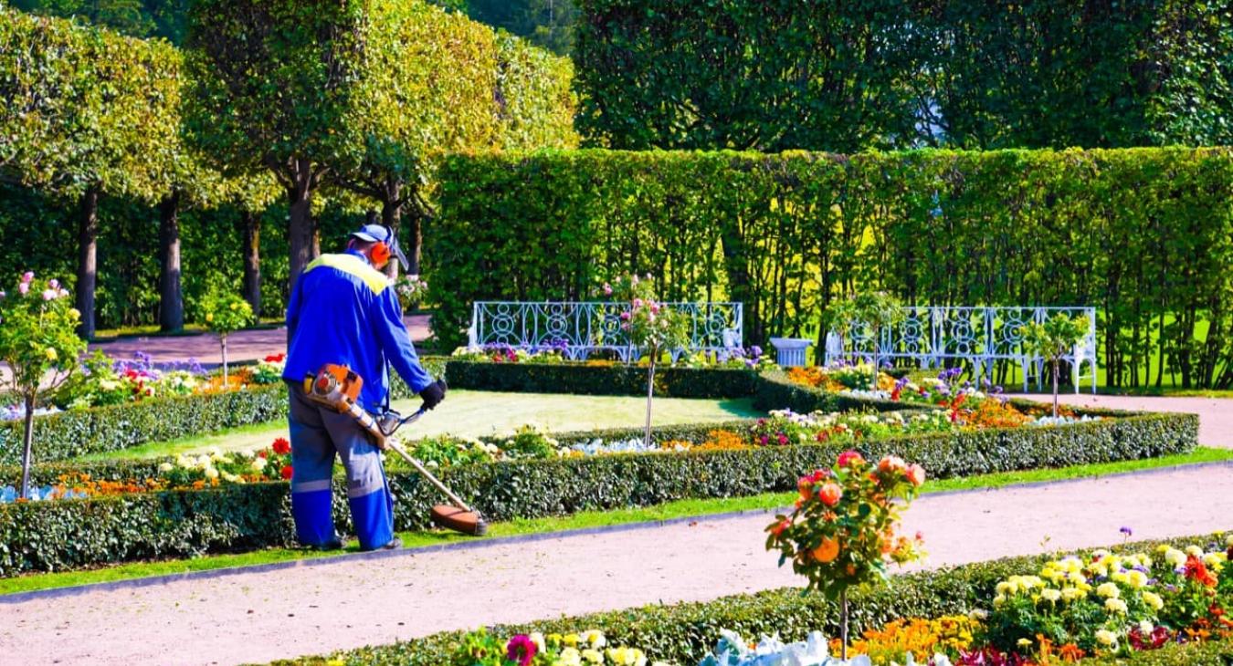 Entretien Parcs & Jardins 89 Yonne